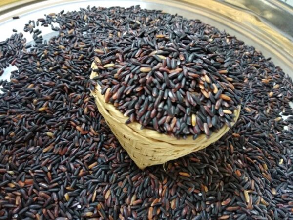 Black Rice