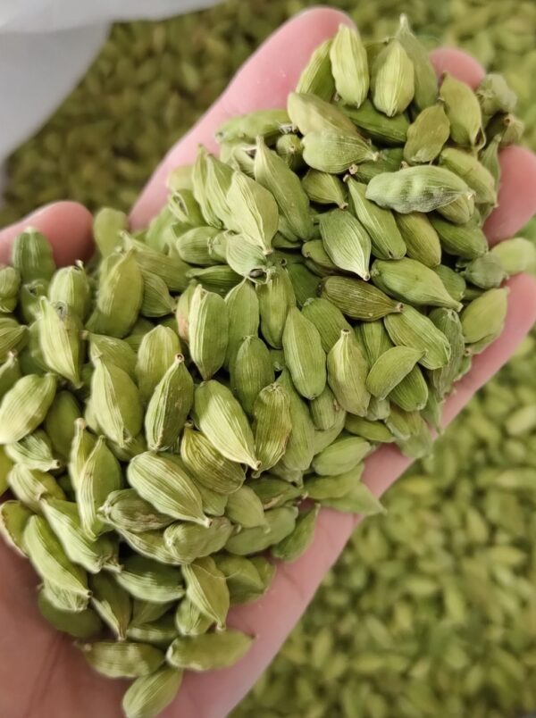 Green Cardamom